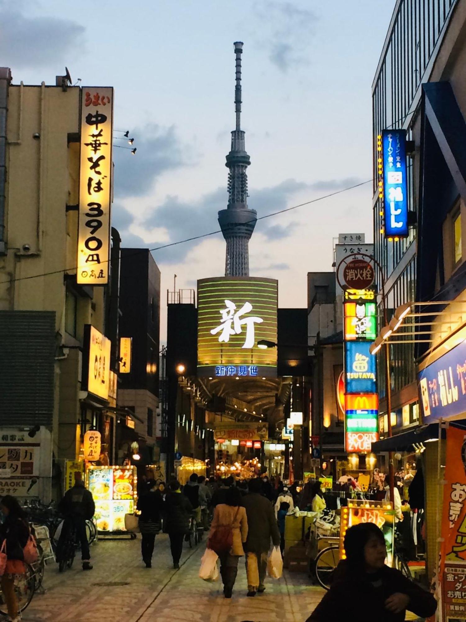 شقة 浅草スカイツリービューテラス 浅草寺3分 浅草駅6分 2-10人 成田&羽田空港直通 طوكيو المظهر الخارجي الصورة