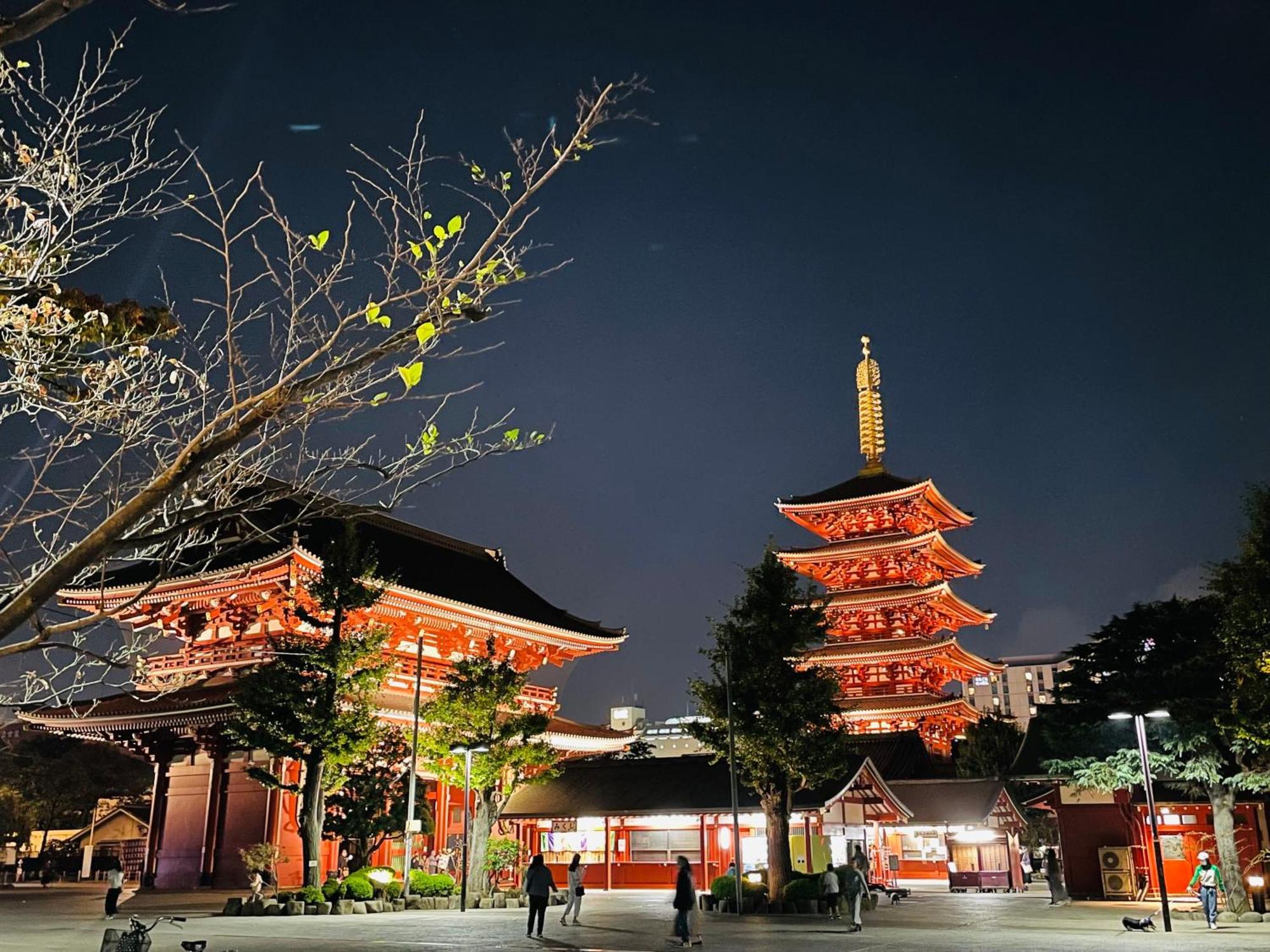 شقة 浅草スカイツリービューテラス 浅草寺3分 浅草駅6分 2-10人 成田&羽田空港直通 طوكيو المظهر الخارجي الصورة